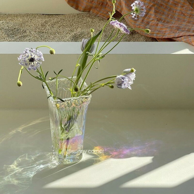 元氣角落 北歐ins風透明玻璃花瓶西班牙風格客廳裝飾擺件插花花器
