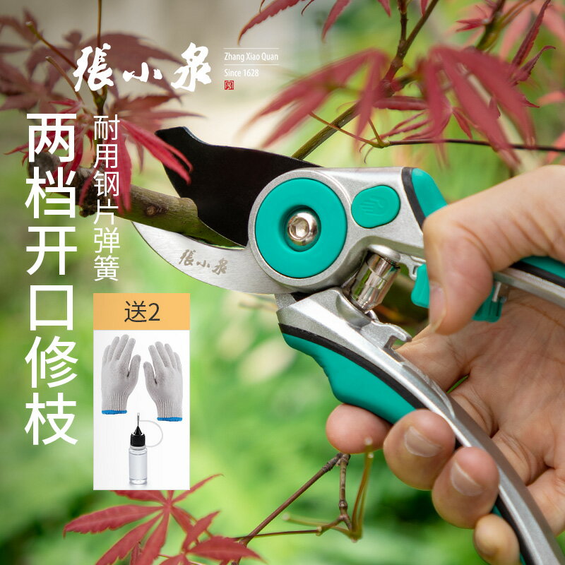 張小泉修剪樹枝剪刀 園林工具修花剪枝園藝剪刀果樹花藝綠化枝剪