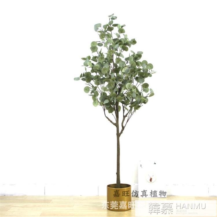 北歐ins模擬金錢樹家居辦公尤加利樹櫥窗落地盆栽裝飾綠植假樹 99購物節
