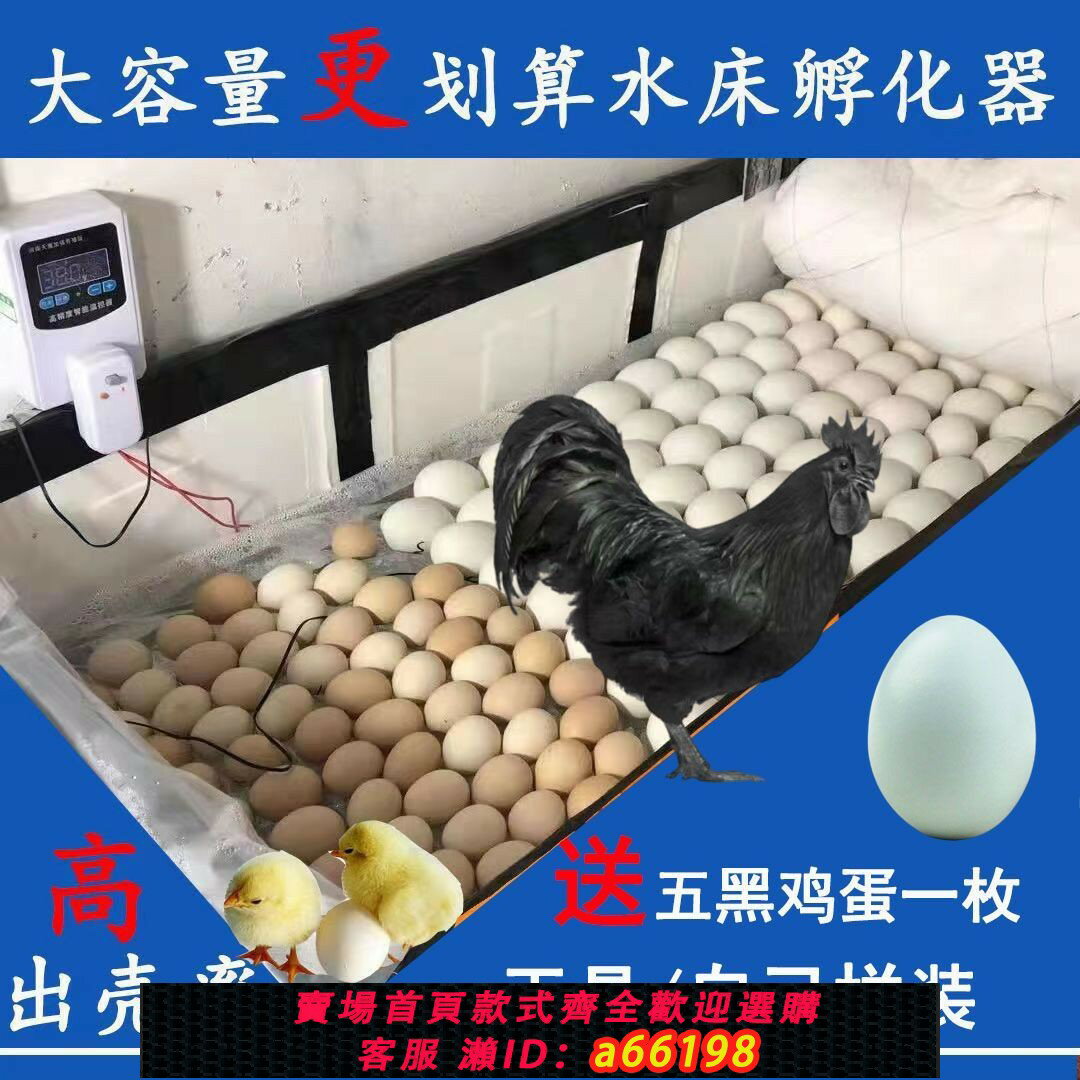 【臺灣公司 可開發票】【大容量更劃算】家用小型水床孵化器智慧控溫孵大型蘆丁雞雞蛋