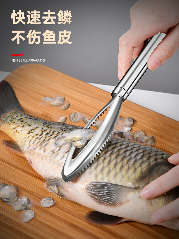 304不銹鋼刮魚鱗神器魚鱗刨殺魚去磷專用去魚鱗神器家用魚鱗刷子