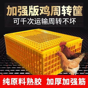 雞籠子裝雞塑料雞籠長方形雞鴨加高運輸籠特價清倉雞籠子批發市場
