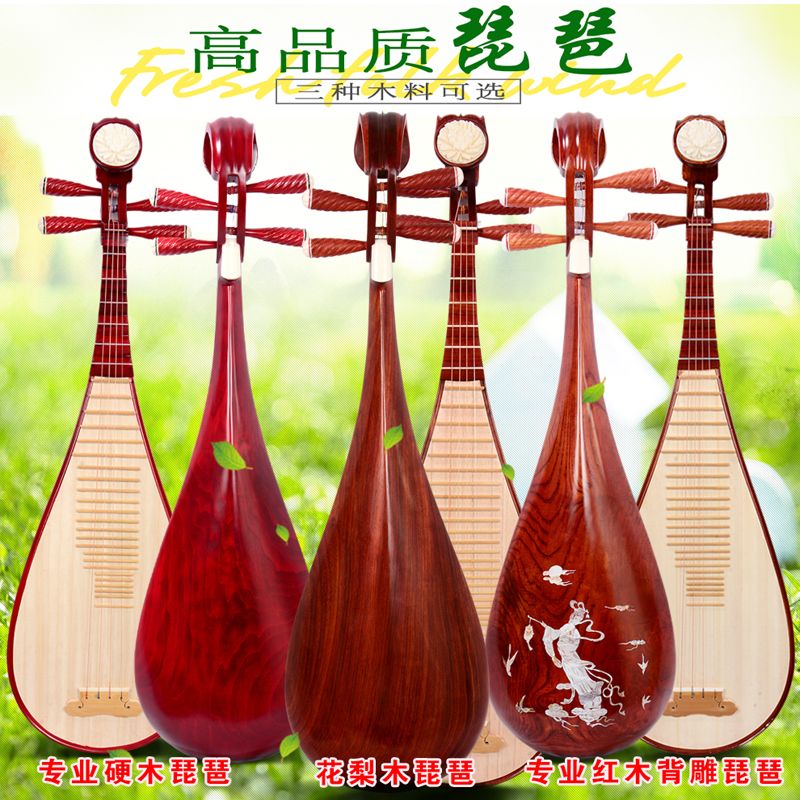 琵琶樂器 初學者成人 兒童練習琵琶紅木專業演奏琵琶正品廠家直銷