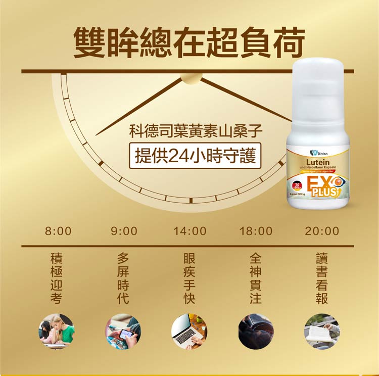 【Kalso 科德司】 金盞花葉黃素軟膠囊(90粒/瓶) 優質德國進口產品 海翔生技 7