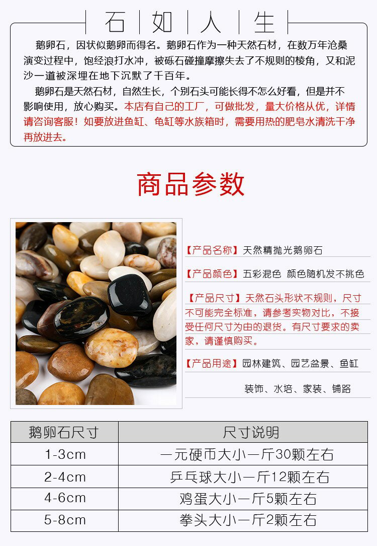 鋪面石鵝卵石雨花石天然白石子魚缸花盆鵝軟石裝飾盆栽園藝石頭子 6