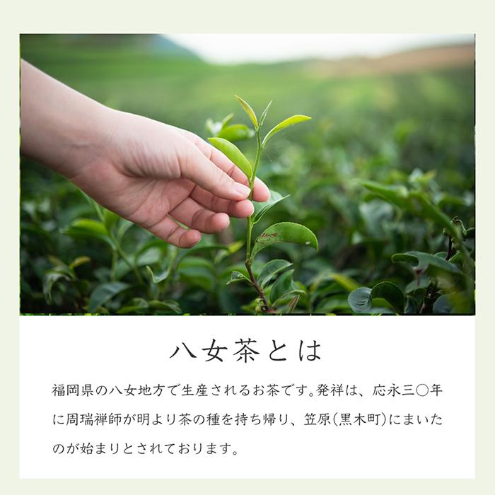 日本製 八女茶專門店 2024 八女茶 100g 新茶 福岡縣產 煎茶 茶葉 日本茶 下午茶【小福部屋】 2