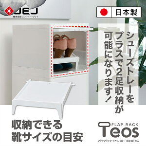 【日本JEJ ASTAGE】Teos日式極簡風組合收納櫃-鞋托盤