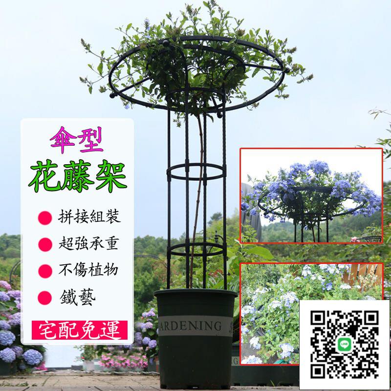 【宅配免運 】園藝傘形 玫瑰爬藤架 月季鐵線蓮攀藤蘑菇薔薇花架 綠植支架 支架桿戶外 花架 園藝用品