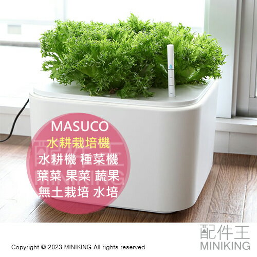 日本代購 MASUCO 日本製 水耕栽培機 水耕機 種菜機 種植機 葉菜 果菜 蔬果 無土栽培 水培 家庭菜園