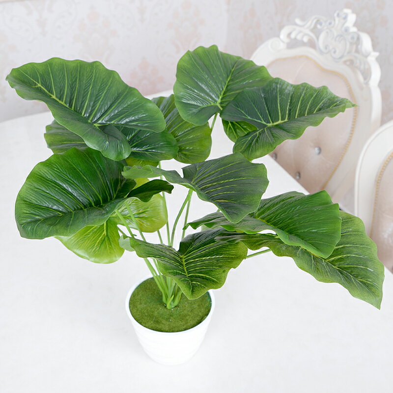 綠植假花50CM滴水觀音仿真花客廳落地套裝室內盆栽植物樹小裝飾花