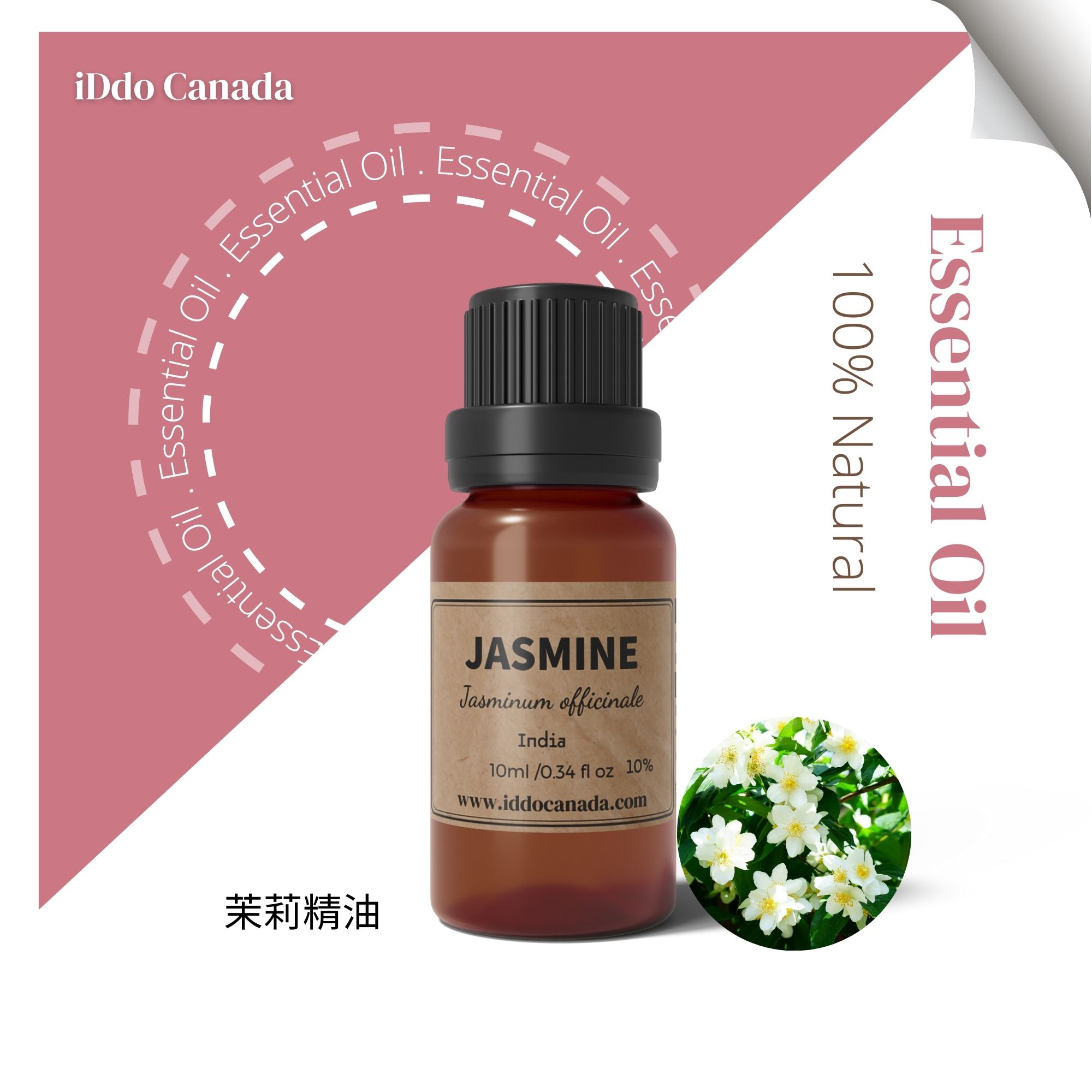 芳療師嚴選 單方精油 -茉莉 10ml