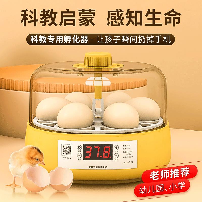 【臺灣公司 可開發票】孵蛋器蘆丁雞小雞孵化器小型家用智慧孵化機水床鸚鵡全自動孵化箱