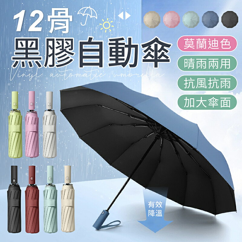 【超強抗風！莫蘭迪色系】十二骨黑膠自動傘 黑膠自動傘 加大自動傘 自動折疊傘 自動傘 雨傘 折疊傘 遮陽傘 晴雨傘 雨具