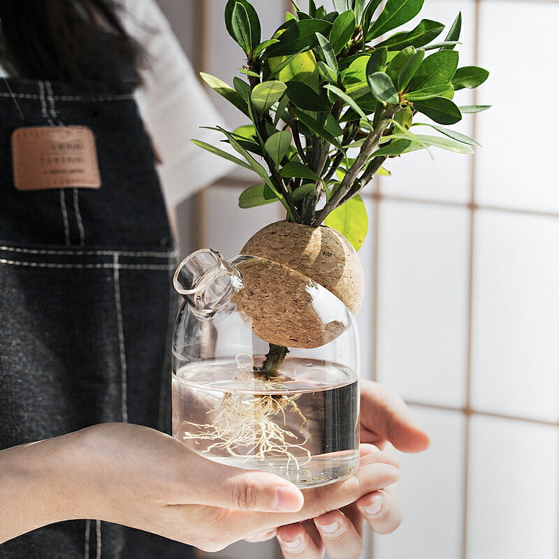 日式軟木玻璃花瓶高硼硅球形蓋紐扣蓋創意插花瓶帶壺嘴易換水花瓶