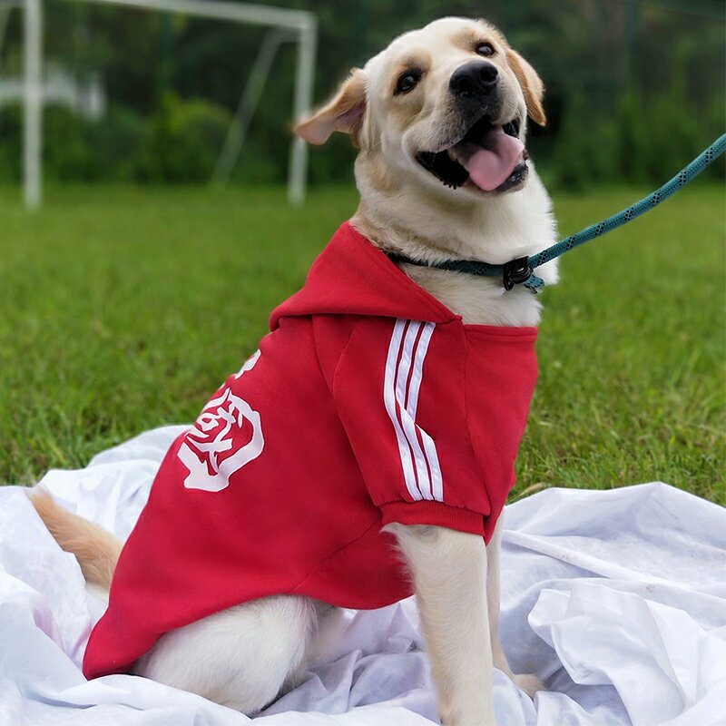 狗狗衣服 大型犬衣服 寵物衣服 大型犬狗狗衣服秋冬款拉布拉多金毛柴犬中型大狗冬季寵物衛衣冬裝『xy17005』