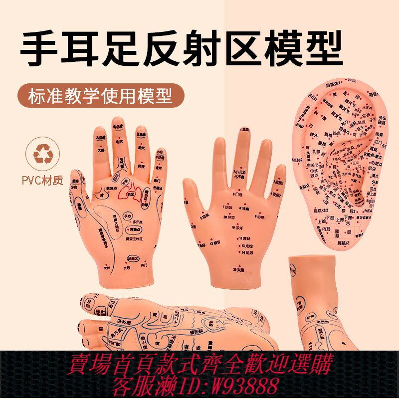 {臺灣公司貨 可打統編}手、耳 腳模型足底按摩模型腳部足部反射區模型按摩針灸艾灸穴位