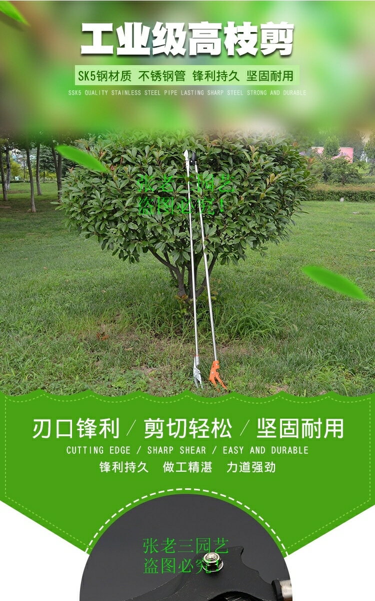 池沐新品高枝剪修枝剪不銹鋼剪刀園林疏花稀果剪枝高空剪高枝花剪 6