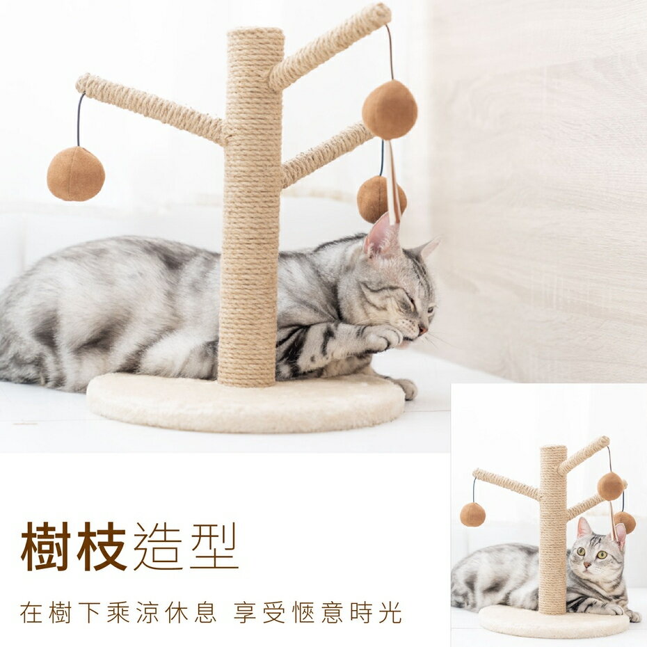 【PetPanny 陪陪你】樹枝貓爬架 貓咪耐抓耐磨玩具 貓咪用品