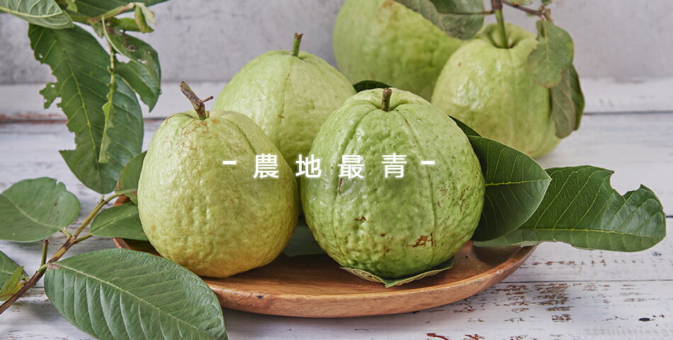 農地最青 - 限時優惠好康折扣