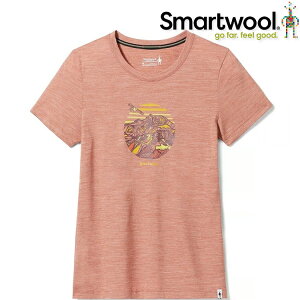 Smartwool Kate Zessel 聯名款 女款 美麗諾羊毛塗鴉T恤 SW016892 L38 霧棕色