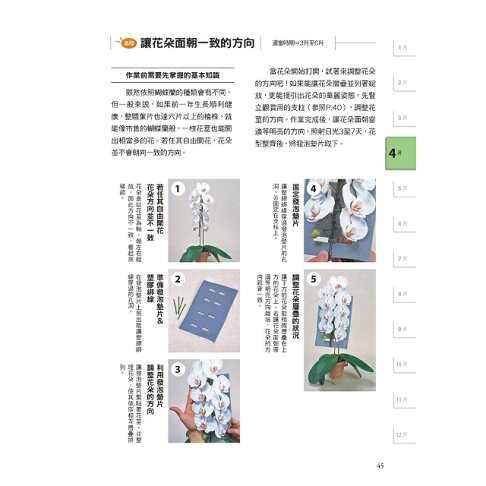全年度蝴蝶蘭栽培基礎書 2