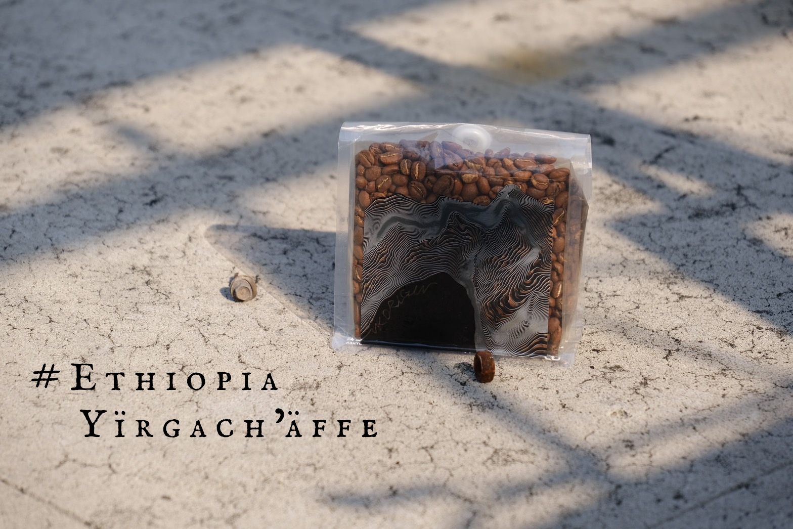 咖啡豆/ 淺焙 #衣索比亞 經典 耶加雪菲 G1 | 水洗