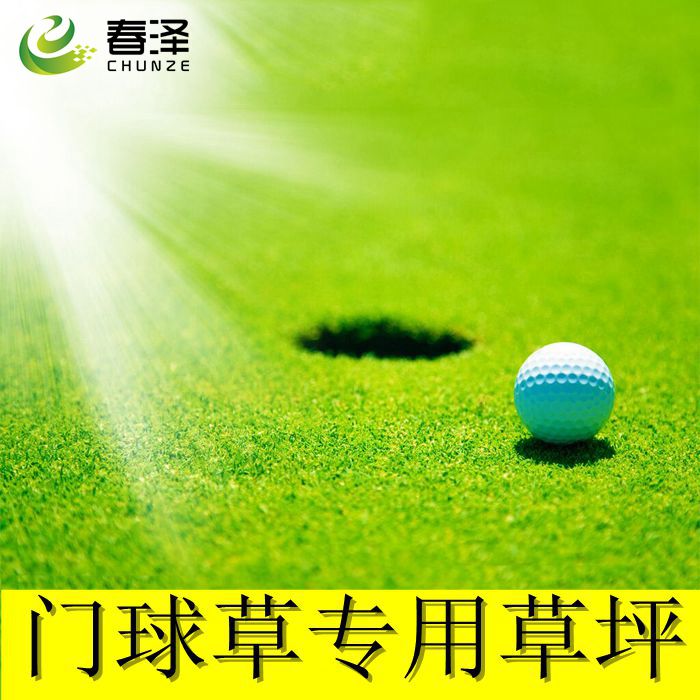 高爾夫球場室內室外曲絲地毯草坪門球場專用人工草坪草皮模擬草墊