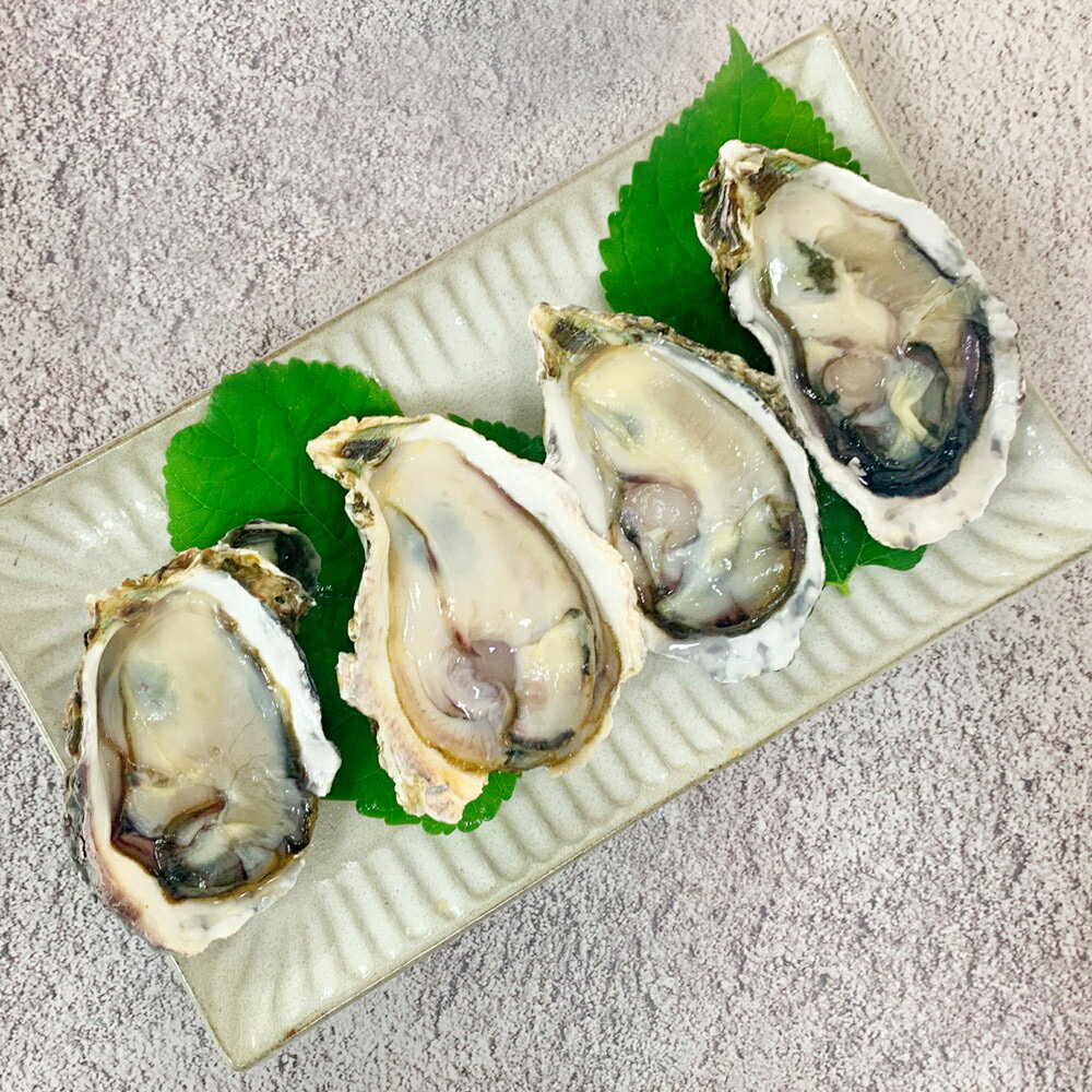韓國半殼生蠔 6顆入/250g(包)_T026