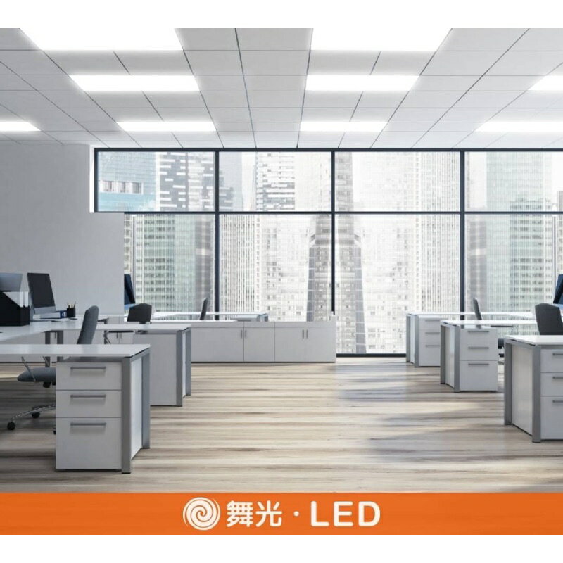 舞光 LED 4尺*2尺 / 4尺*1尺 雙節標柔光 平板燈 輕鋼架燈 D-41PD25D-EGR1 D-42PD45D-EGR1 (A Light) 2