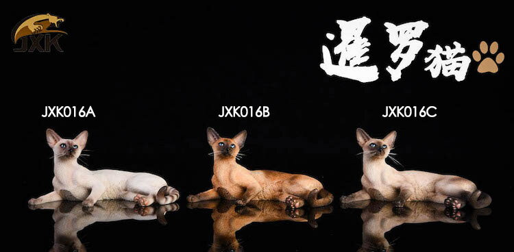 現貨 JxK 1/6 Jxk016 暹羅貓 趴姿 靜態 手辦動物模型 GK車內擺件