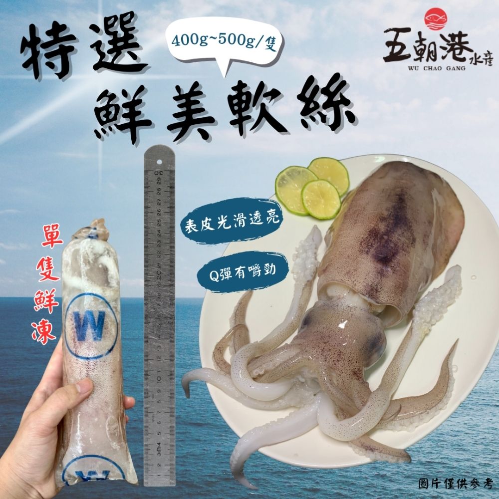 4A特選鮮美軟絲 (400-500克/隻) 最鮮 海鮮 生鮮 小卷  軟體 熱銷商品 快速到貨