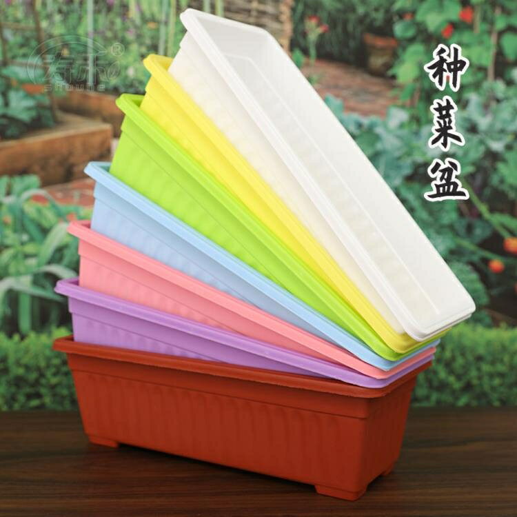 種菜盆 長條盆種菜盆花盆陽臺四季家庭長方形塑膠種花加厚種植專用含託盤