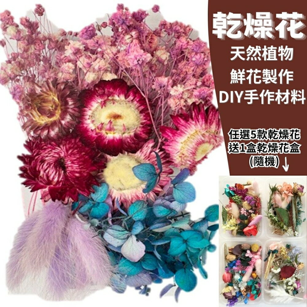 【A-ONE】天然乾燥花 紫色幽蘿 植物果實 拍照道具 花材 花藝材料包 浮游花 永生花 浮油花 乾花 乾燥花材 A11