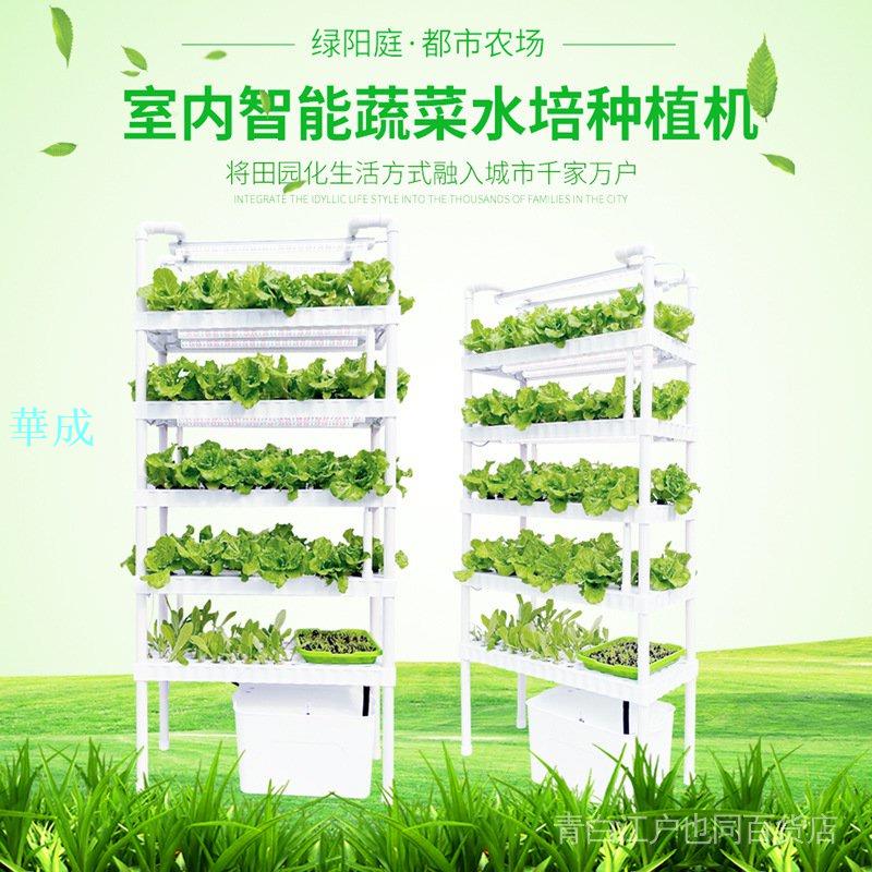 無土栽培設備 水培種菜機 多層花架 LED植物補光燈 智能種菜機