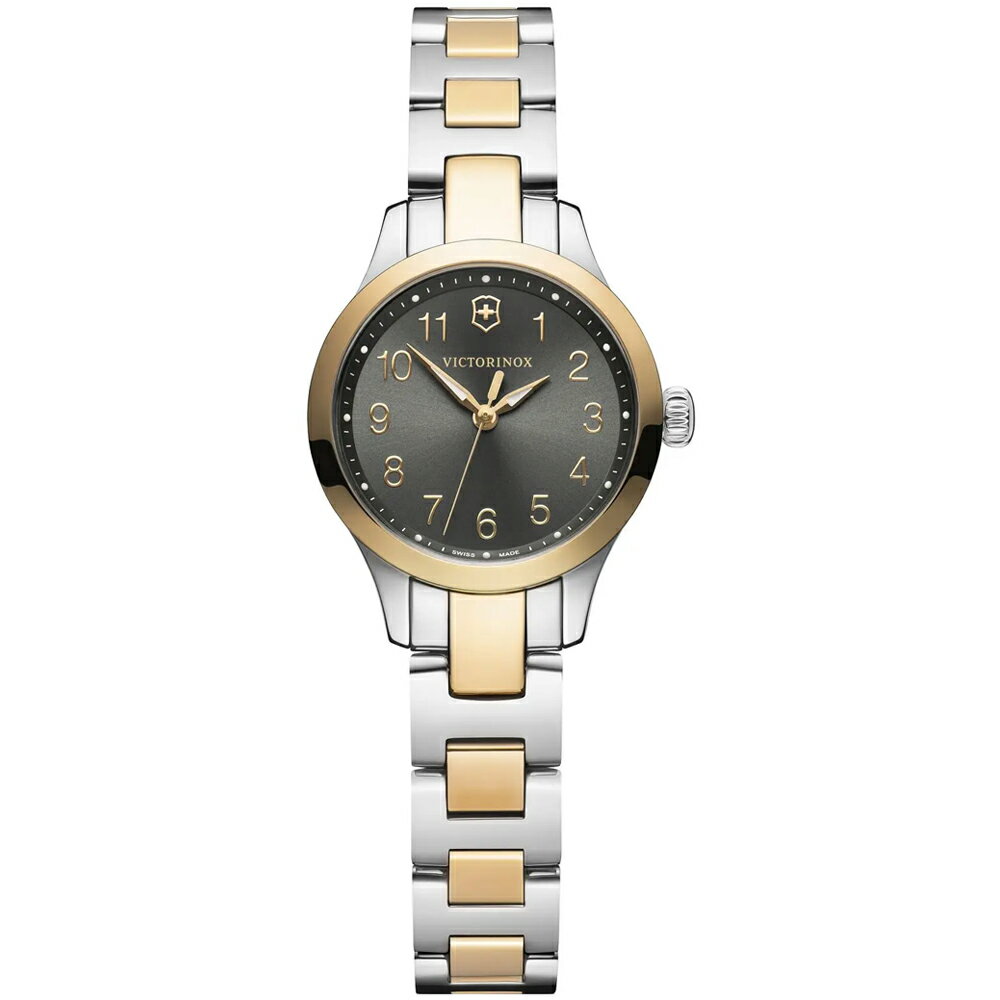 VICTORINOX 瑞士維氏 Alliance 經典時尚石英腕錶(VISA-241841)-28mm-銀面鋼帶【刷卡回饋 分期0利率】【APP下單4%點數回饋】