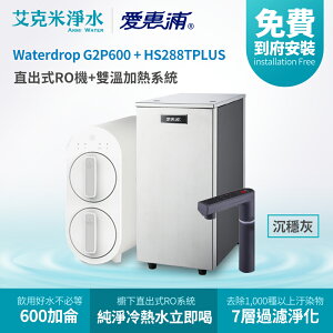 【EVERPURE 愛惠浦】HS288T PLUS+Waterdrop G2P600雙溫系統廚下直出RO淨水器