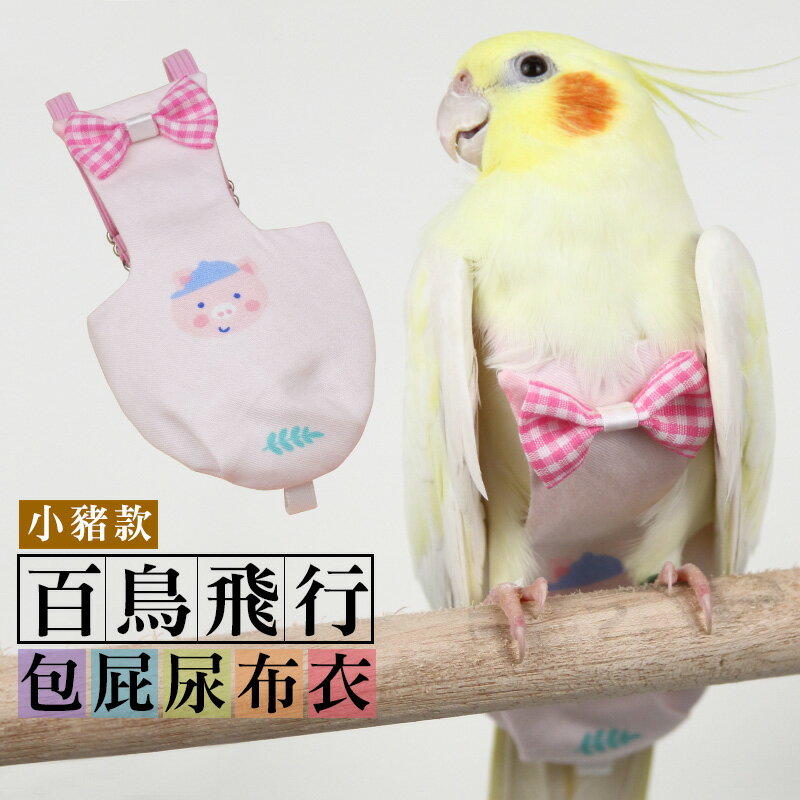 百鳥飛行小豬包屁尿布衣 鳥衣 寵物用品 台灣24H出貨