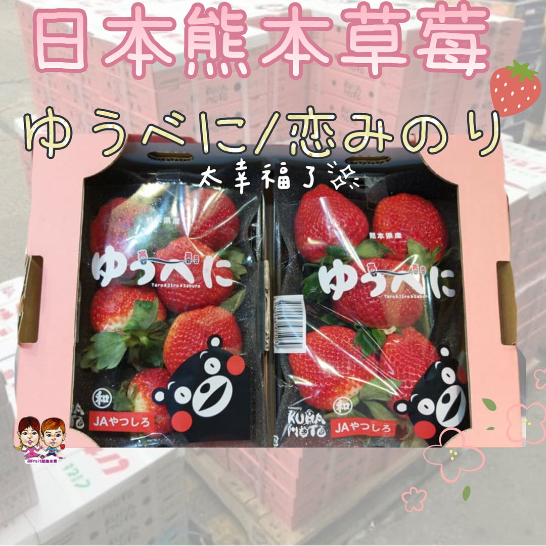 【緁迪水果JDFruit】日本熊本菊池草莓(600g+-10%/箱) 一箱兩包【大份量免運費】送禮首選-日本空運限定