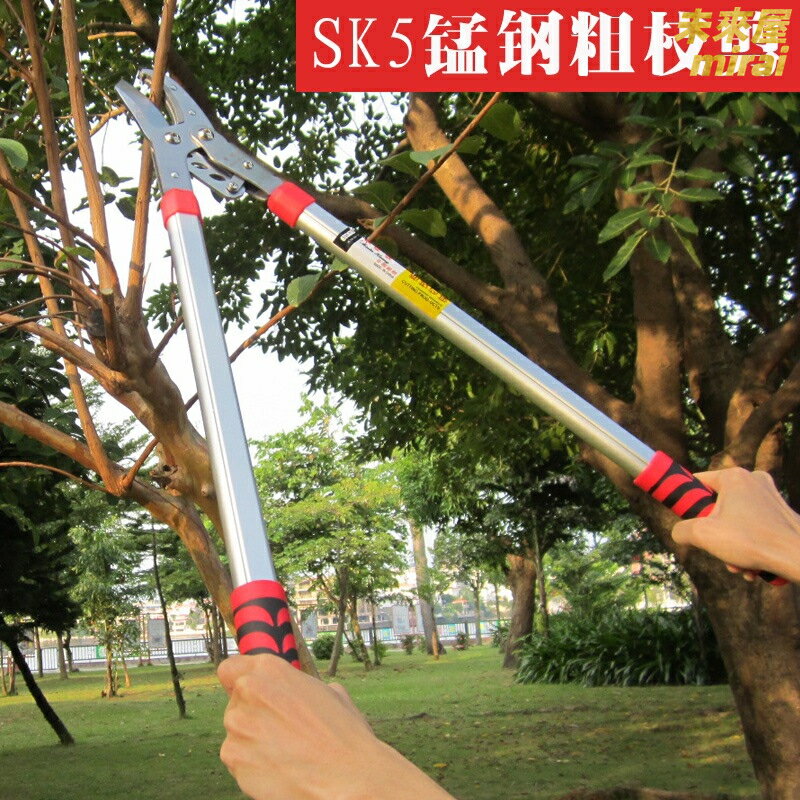 【粗枝大力剪】修枝剪 園藝剪刀 果樹剪刀 園林工具 修枝工具 SK5高碳鋼 省力槓桿設計 防滑手柄 專業園林果農必備