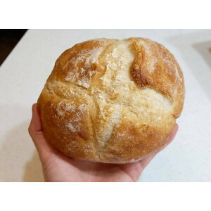 《AJ歐美食鋪》冷凍 天然酵母 鄉村麵包 230g±5% 酸麵包 酸種麵包