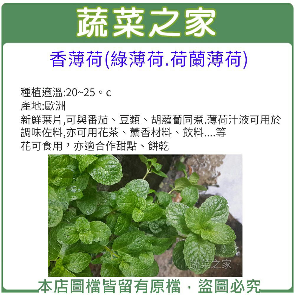 【蔬菜之家】K10.香薄荷(綠薄荷)種子(共有2種包裝可選)
