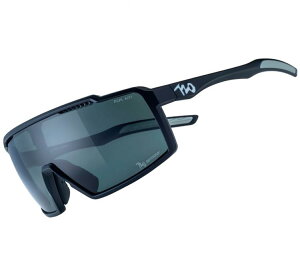 720armour A-Fei HiColor 阿飛系列增豔款太陽眼鏡 消光黑框 偏光灰防爆PC片 A1905-1-PCPL BSMI D33E04