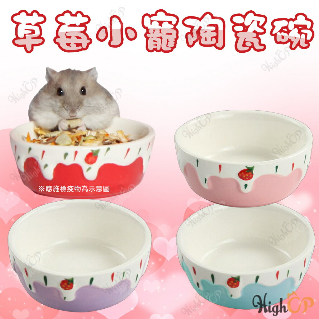 草莓小寵陶瓷碗 陶瓷碗 草莓碗 飼料碗 寵物飼料碗 陶瓷小碗 迷你小碗 小寵陶瓷碗 醬料碟 小碗【23040107】