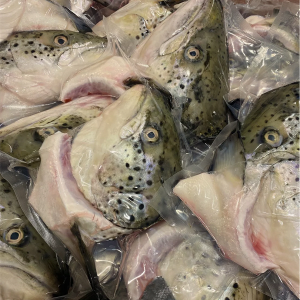 冰鮮挪威鮭魚頭(大)1公斤以上(整顆)