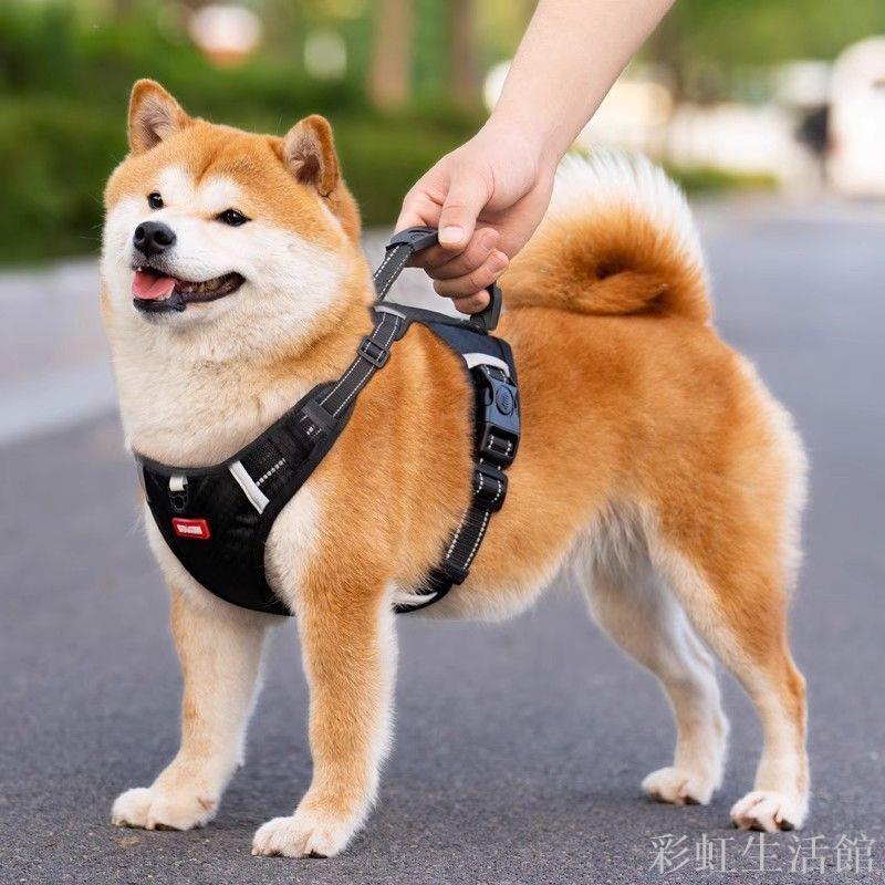 狗狗牽引繩背心式防掙脫胸背大型犬拉布拉多胸背防爆沖狗鏈栓狗繩
