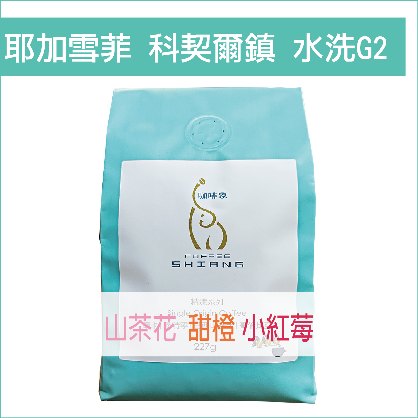 «咖啡象»衣索比亞科契爾水洗耶加雪菲G2【半磅裝227g】«咖啡機／手沖適用»