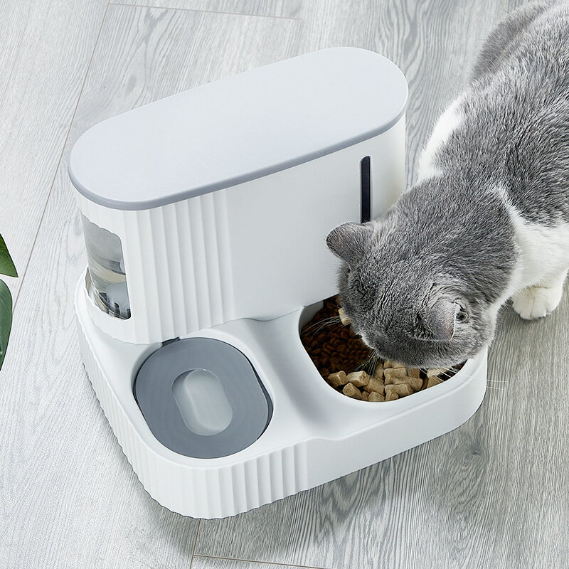 貓碗貓食飯盆貓糧盆貓咪食盆雙碗自動喂食器貓喝水飲水寵物碗水碗
