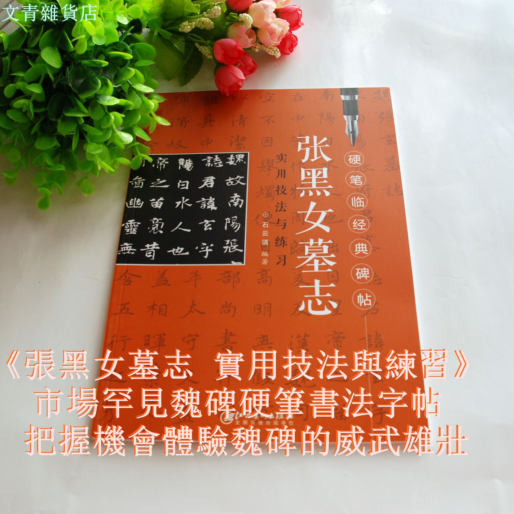 《張黑女墓誌 實用技法與練習》魏碑鋼筆字全攻略，好好練讓您出手便是讚嘆~~~勤練價199！