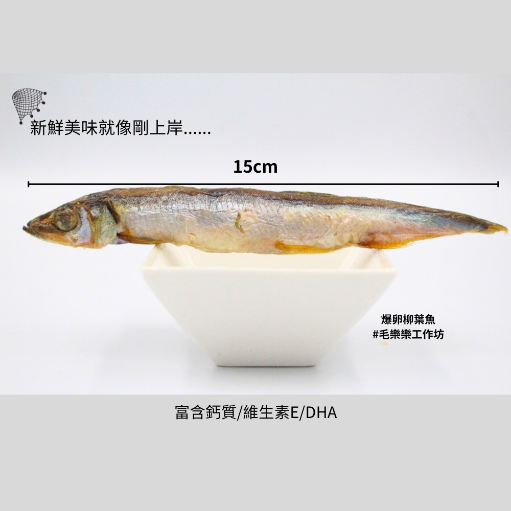 【毛樂樂工作坊】爆卵柳葉魚凍乾 70g 原肉無調味 犬貓適用 凍乾 100%台灣製造 貓狗犬零食 寵物零食