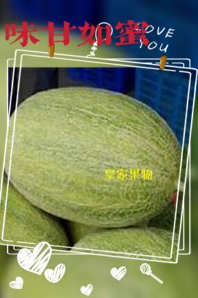 卡蜜拉網紋哈密瓜大顆整箱買6入【皇家果物】免運費 1